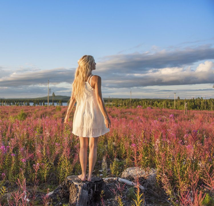 Jonna jinton photos of nature