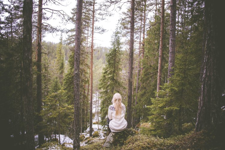 Jona Jinton in the forest