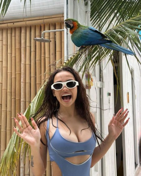 Plum of the carnival