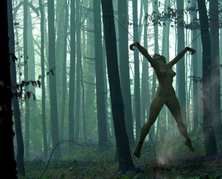 Photo shoot connected in the forest