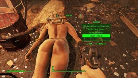 Erotic assembly on Fallout 4