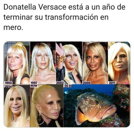 Donatella Versace who is similar to comparisons