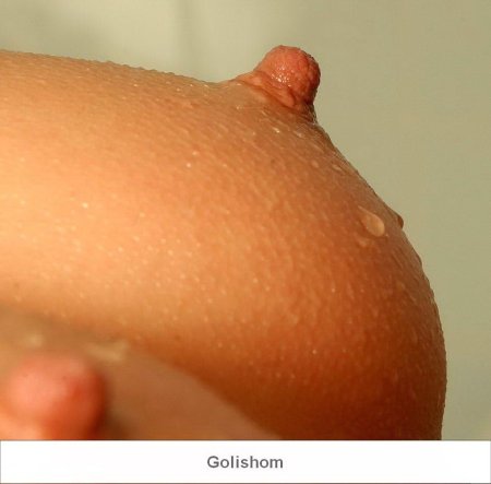 Male nipples close -up