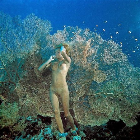 Submarine swimming naked