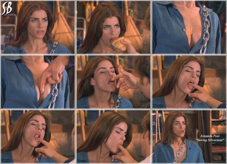 AMANDA PEET HOT