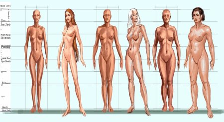 The structure of the body of a naked woman