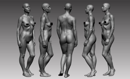 The bodies of a woman nude anatomy