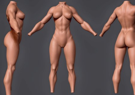 Anatomy of female nudity