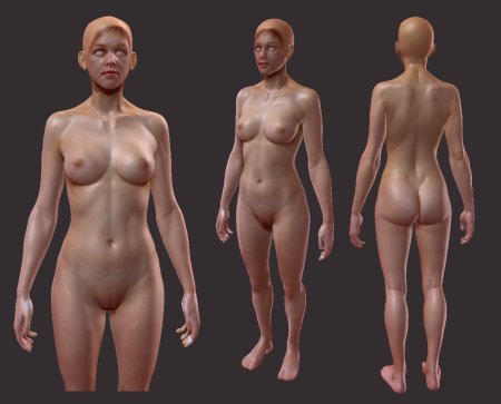 Naked female anatomy