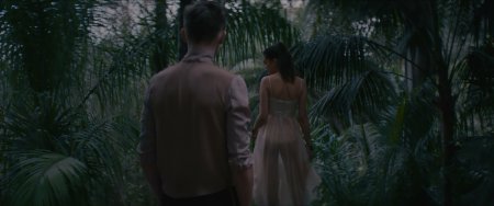 Courtney Eaton neckline