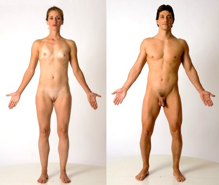 Naked women and men in clothes and without