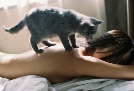 The cat is lying on a girl