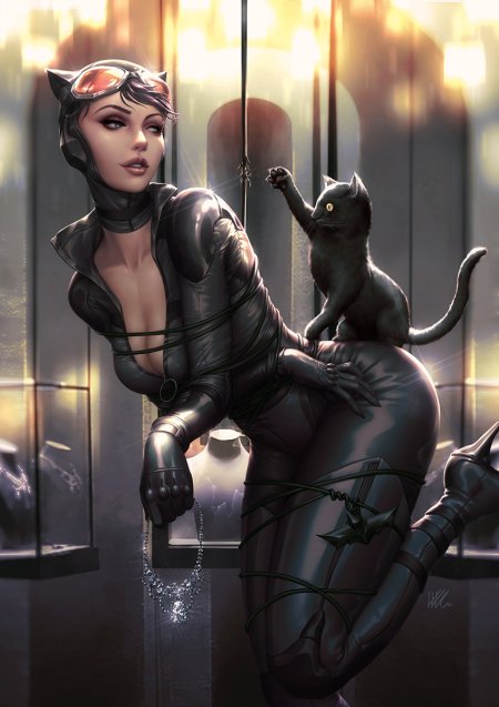 Selina Kyle Batman