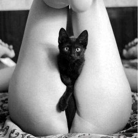 Girl with a cat erotic