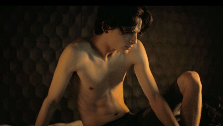 Actress Paulina chalamet photo naked