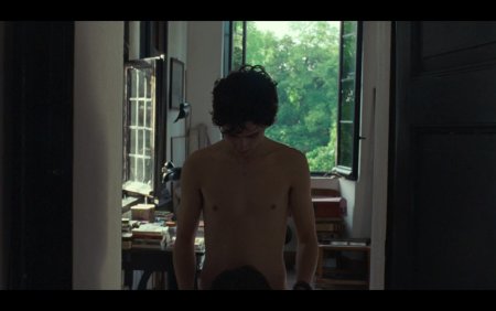 Timothy Shalame Press torsos