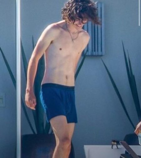 Temothee Chalamet Skateboards