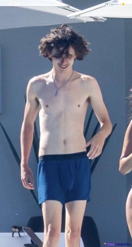 Timothy chalamet torso