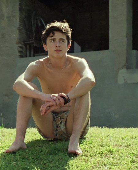 Timothy Shalame torso