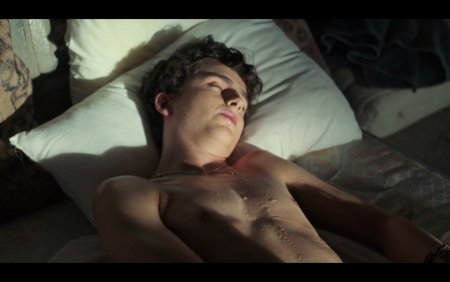 Naked Chalamet Joel Birkin