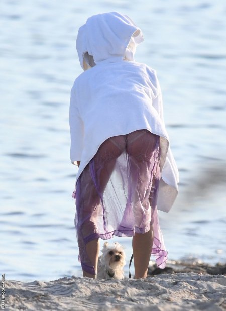 Helly Bieber Figure Parameters