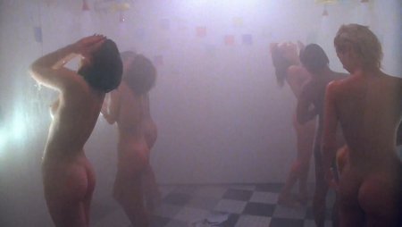 Vanessa Bell Calloway shameless naked