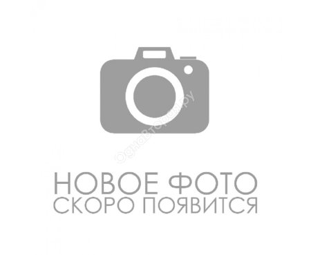 NN-DF383BZPE (inverter)