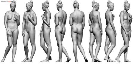 The bodies of a woman nude anatomy