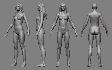 Female body reference for 3D