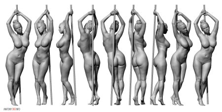 Anatomy of the female body nude