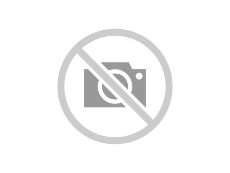 Zhukov Georgy Konstantinovich Portrait