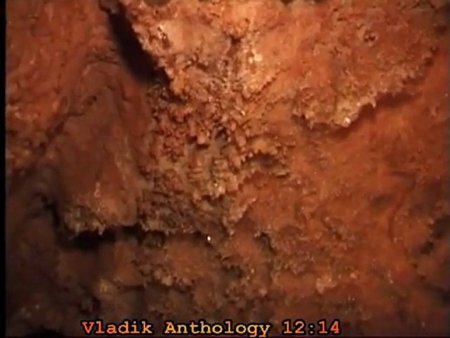 Vlad Shibanov Anthology