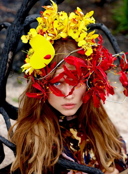 Database company LS Iceland