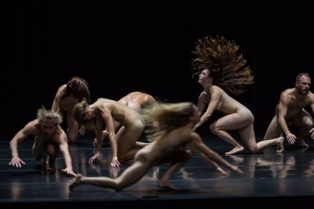 Theater naked. Jan Fabr - Mount Olympus