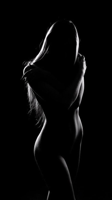 Beautiful female silhouette