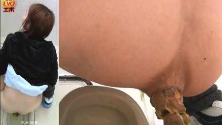 Japanese Cauret in the Public Toilet