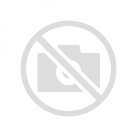 Lara Flyn Boyle American actress