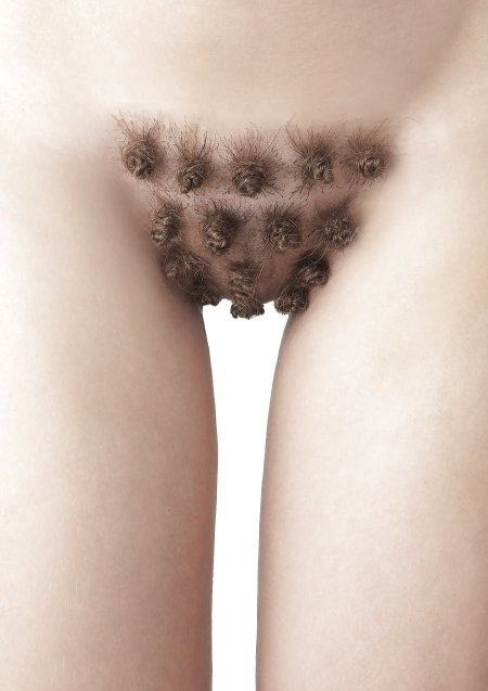 Female erotic pubic haircuts