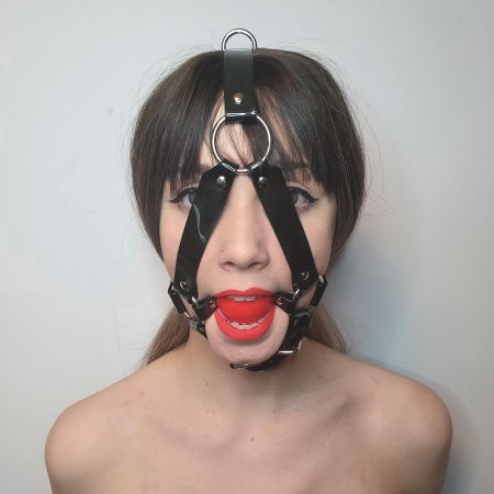 Harness Gagged - Guy Free Pics